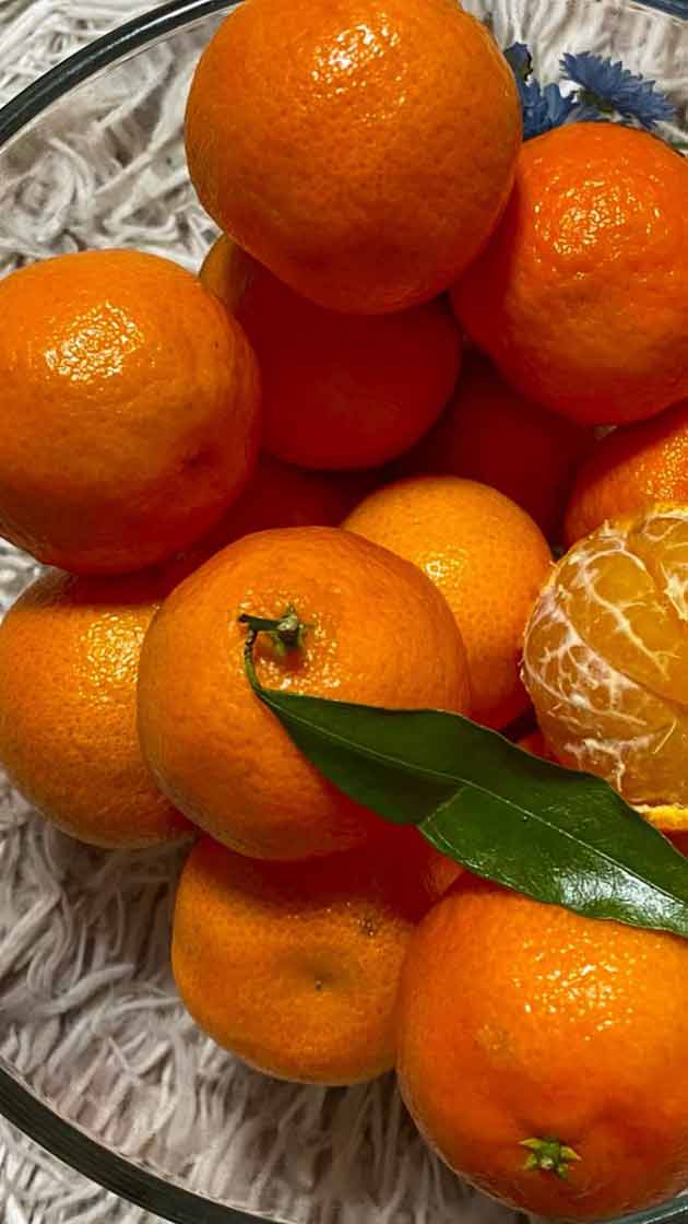 تعبیر خواب پرتقال امام صادق و حضرت یوسف و گرفتن از دیگران برای دختر مجرد