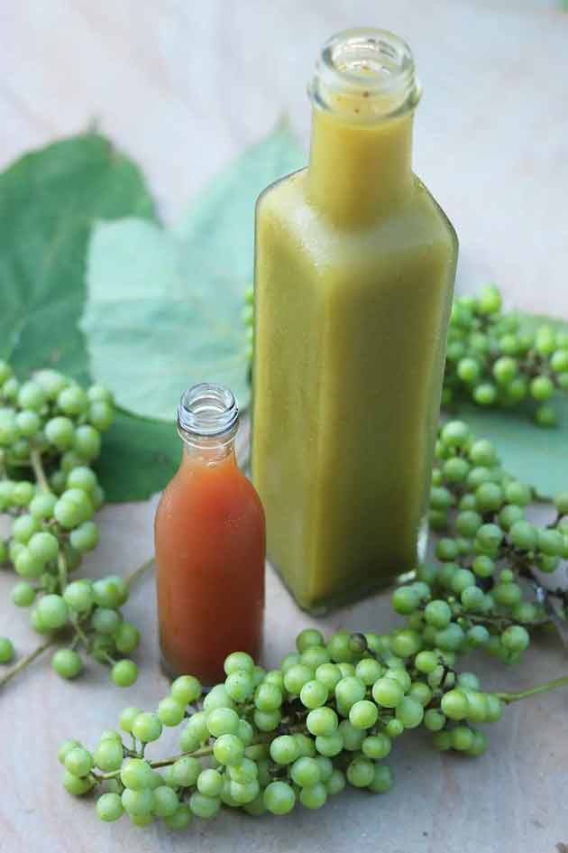 تعبیر خواب آبغوره امام صادق و حضرت یوسف و ترش و شیرین از ابن سیرین