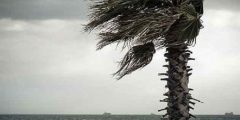 تعبیر خواب طوفان امام صادق و حضرت یوسف و برای دختر مجرد از پشت پنجره
