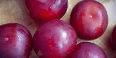 تعبیر خواب آلوچه قرمز امام صادق و چیدن از درخت برای دختر مجرد و زن باردار