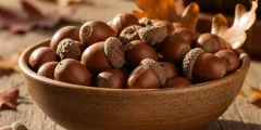 تعبیر خواب بلوط امام صادق و ابن سیرین + برای زن متاهل و باردار و دختران مجرد